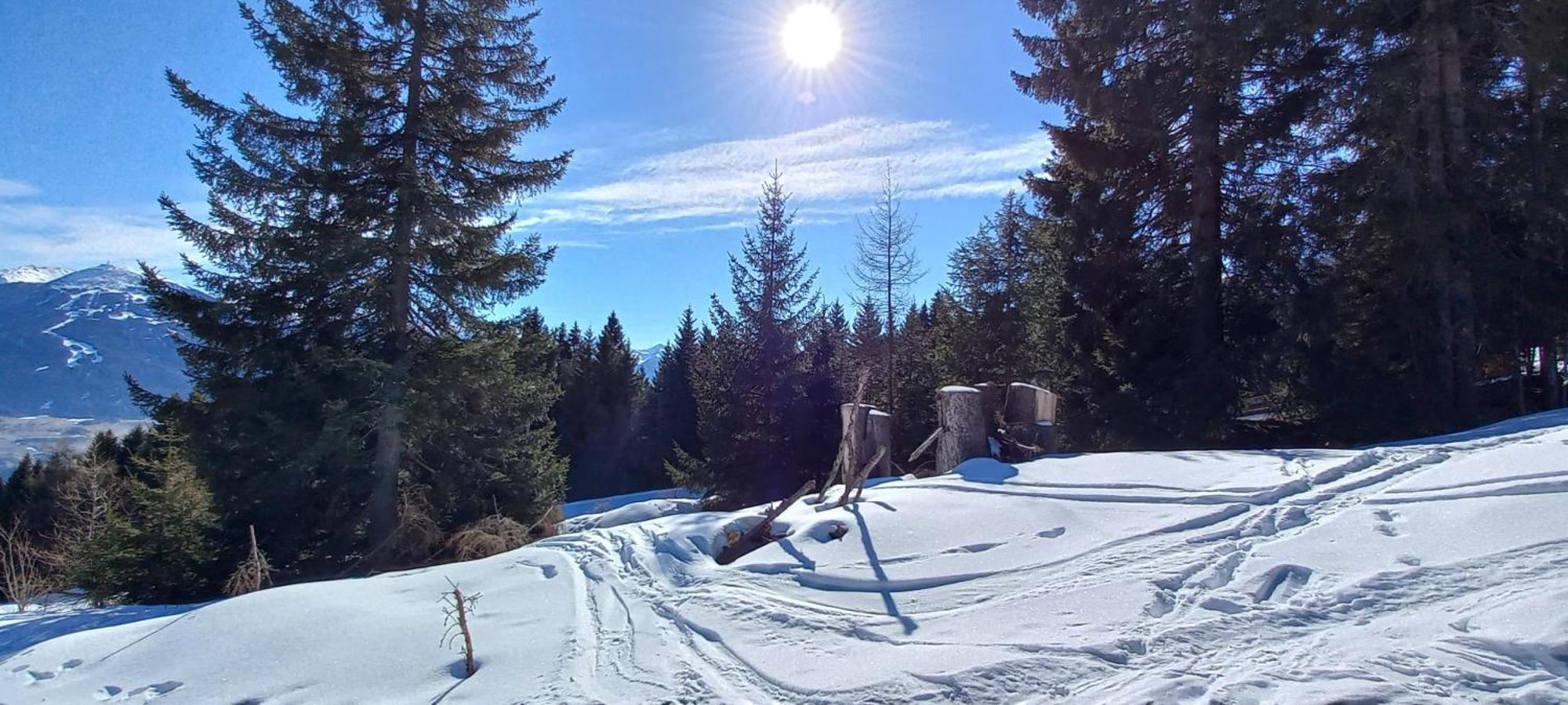 Ferienwohnung Goetzner Auszeit อินส์บรุค ภายนอก รูปภาพ